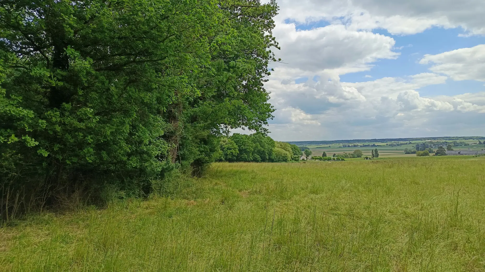 Domaine de bois Mozé
