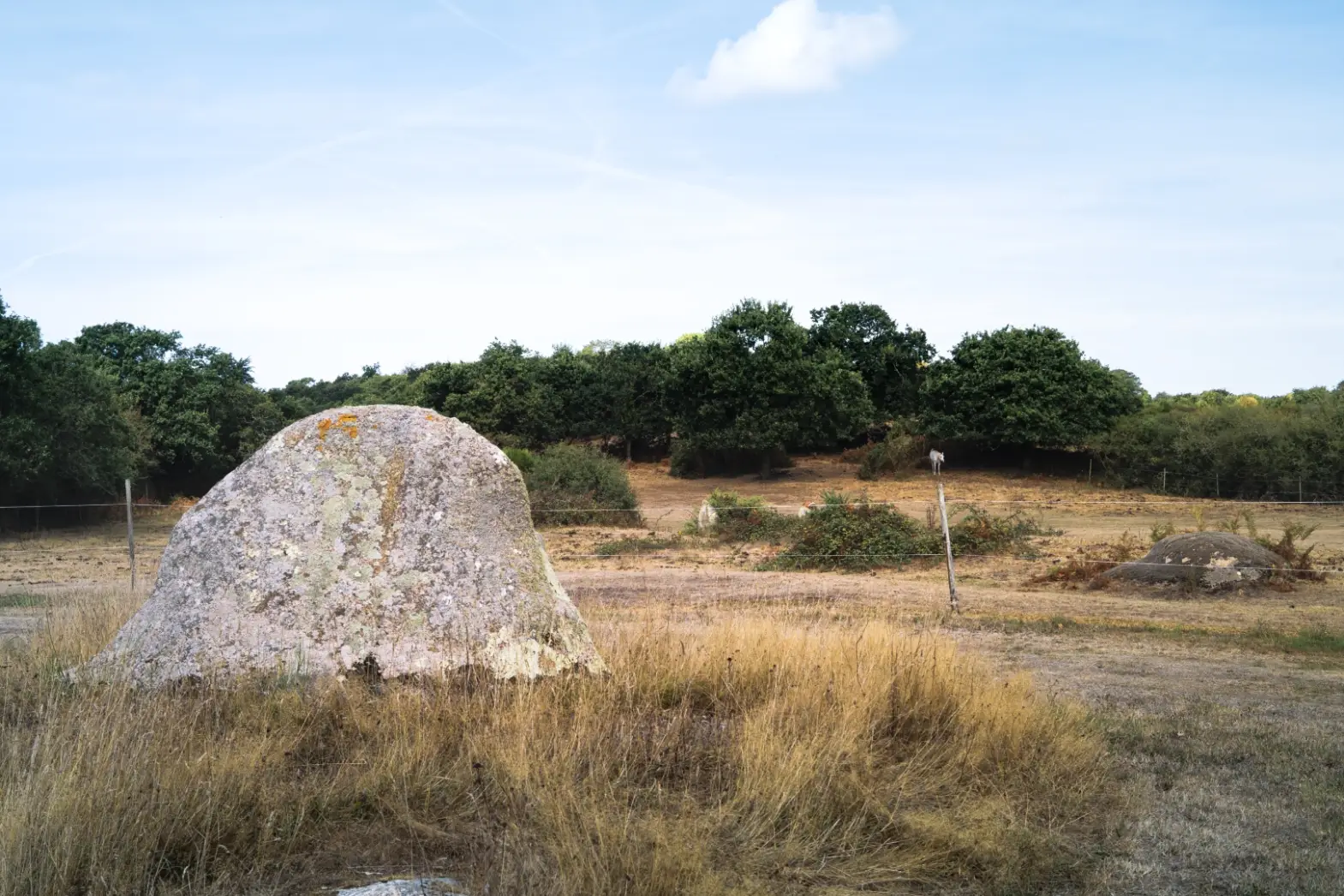 Le Menhir #4