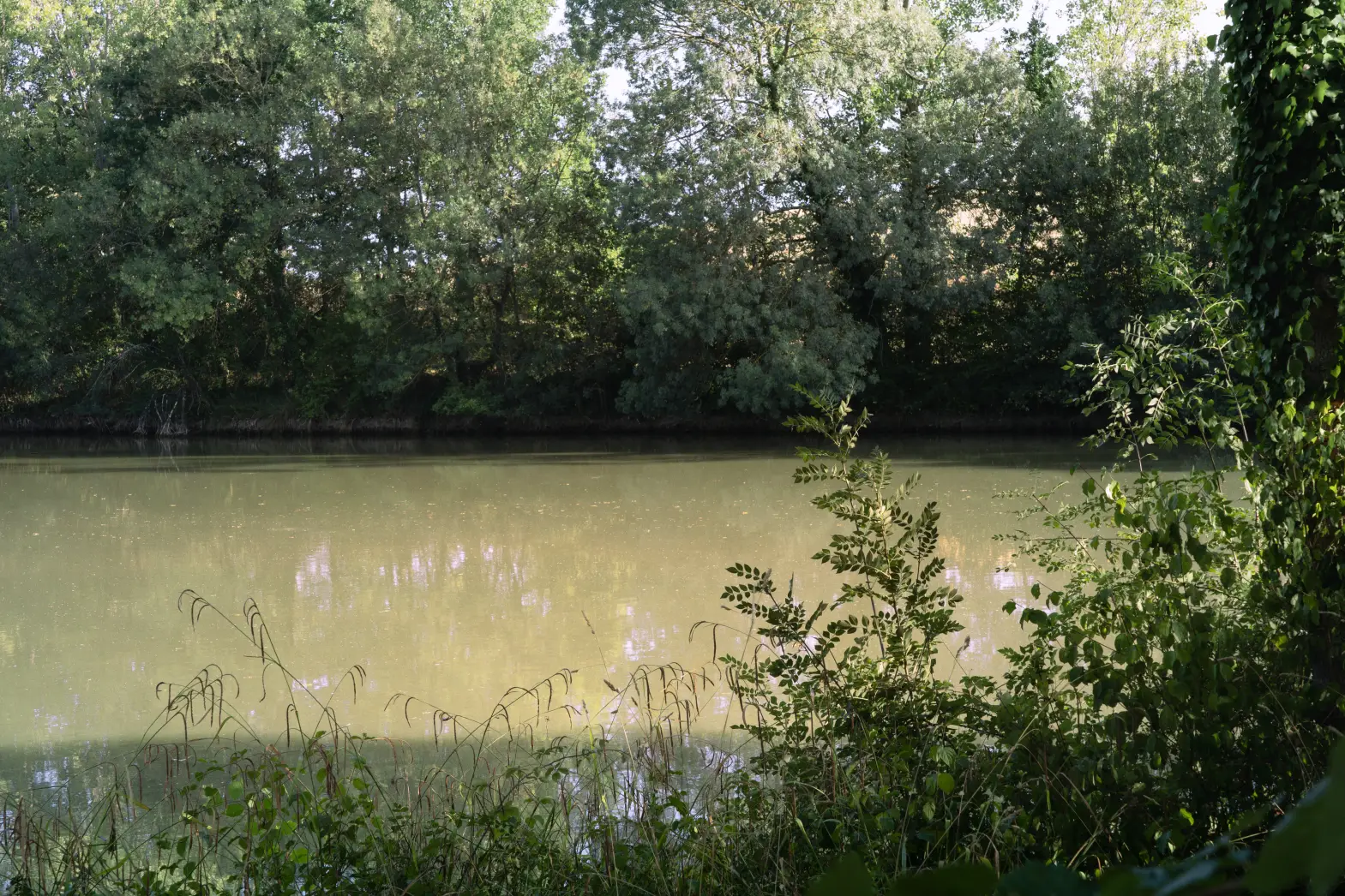 Le havre du lac