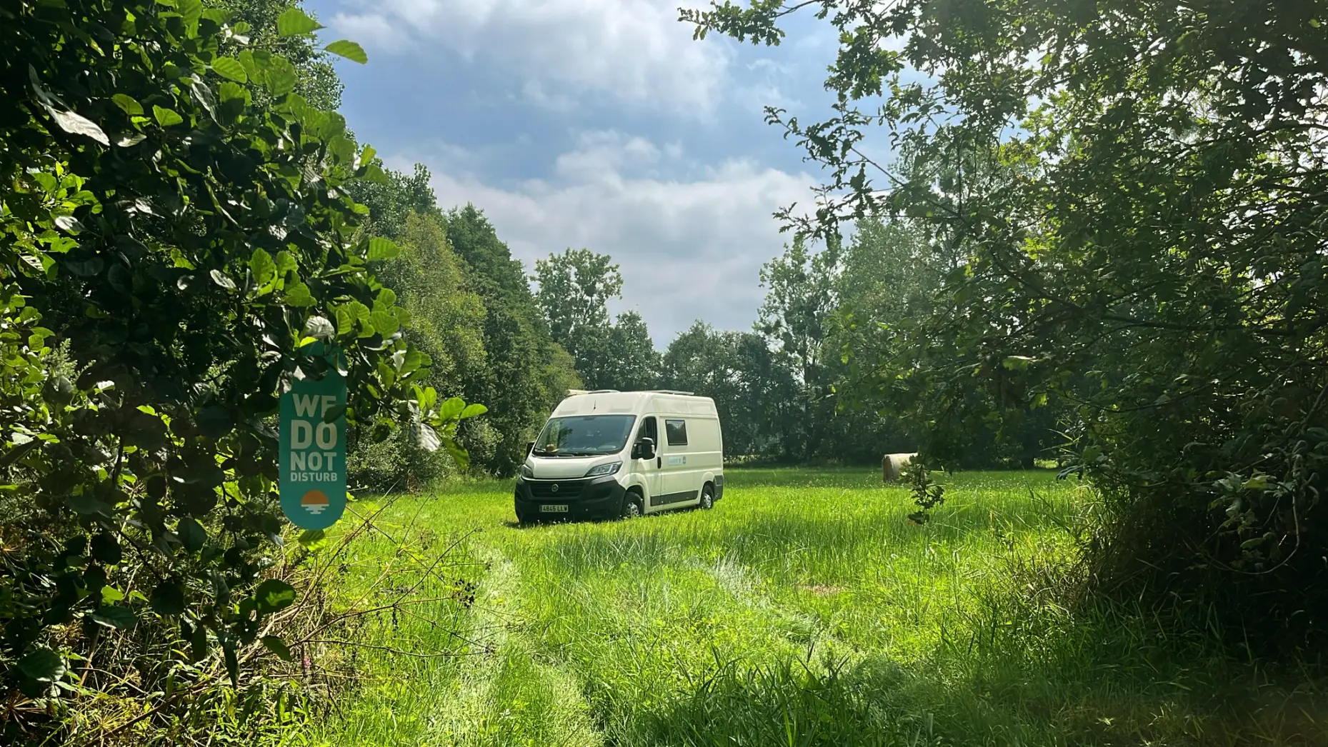 Clairière de la Forêt Enchantée