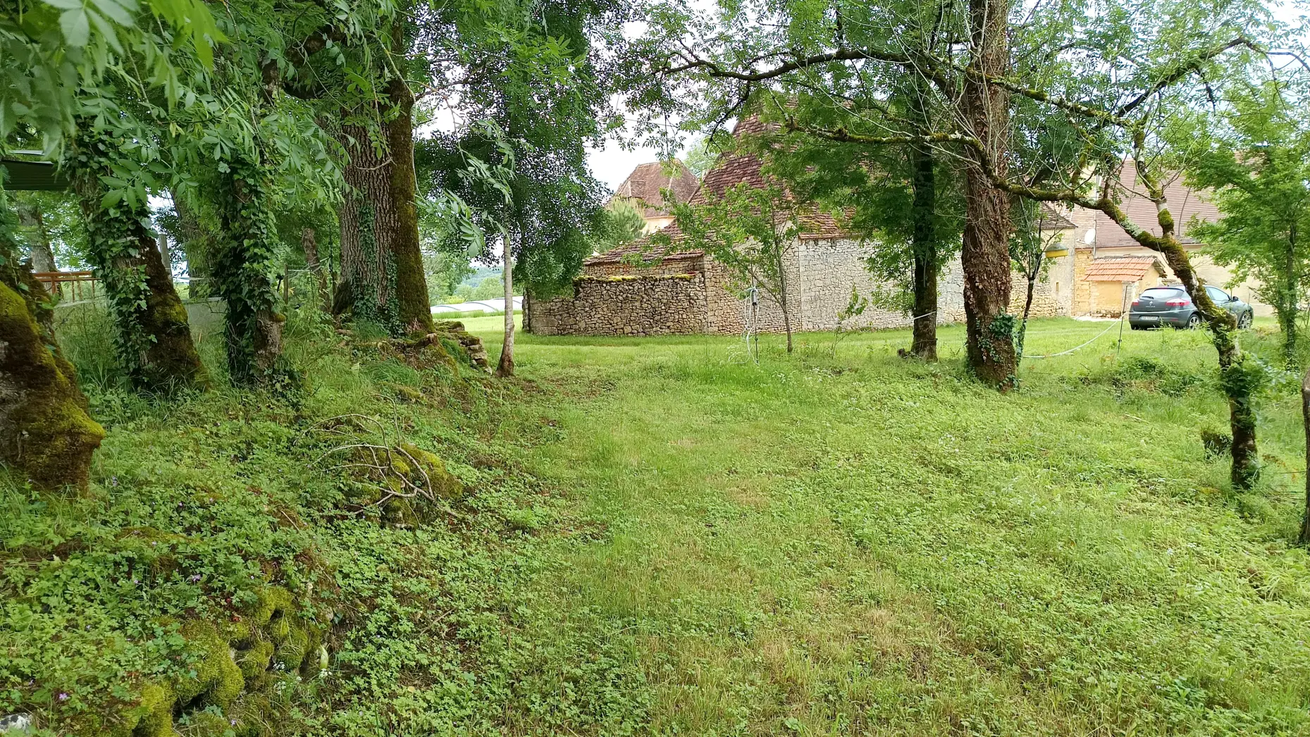 Sous l'arbre