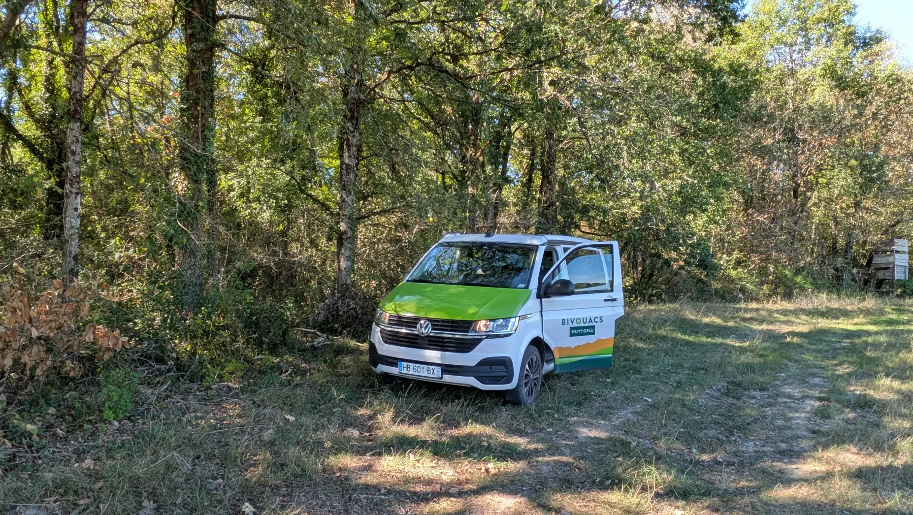 A la lisière de la forêt