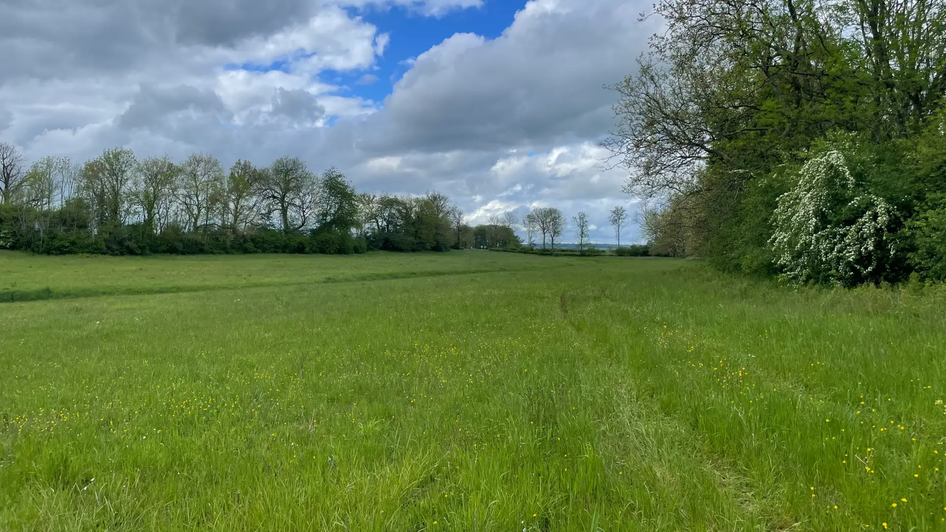 Lac de Chazilly 1 #12