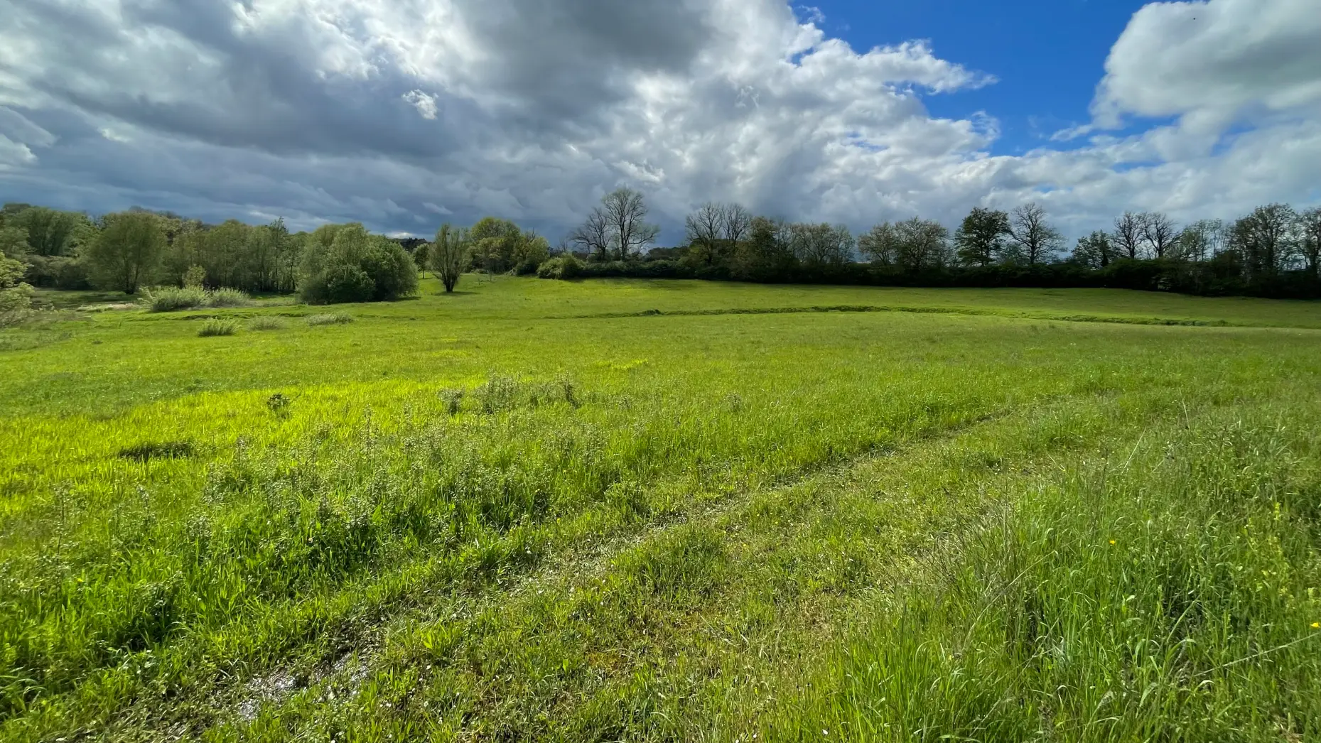 Lac de Chazilly 1 #11