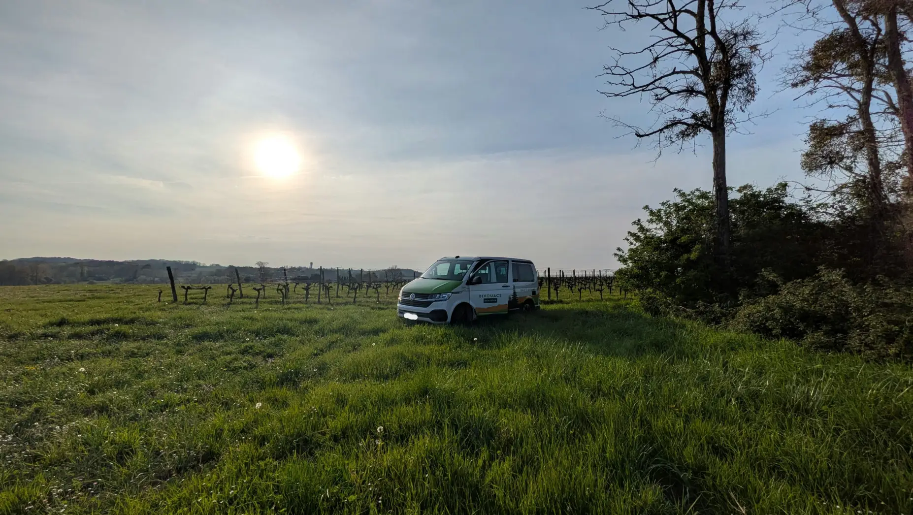 Les Vignes Falgueyret