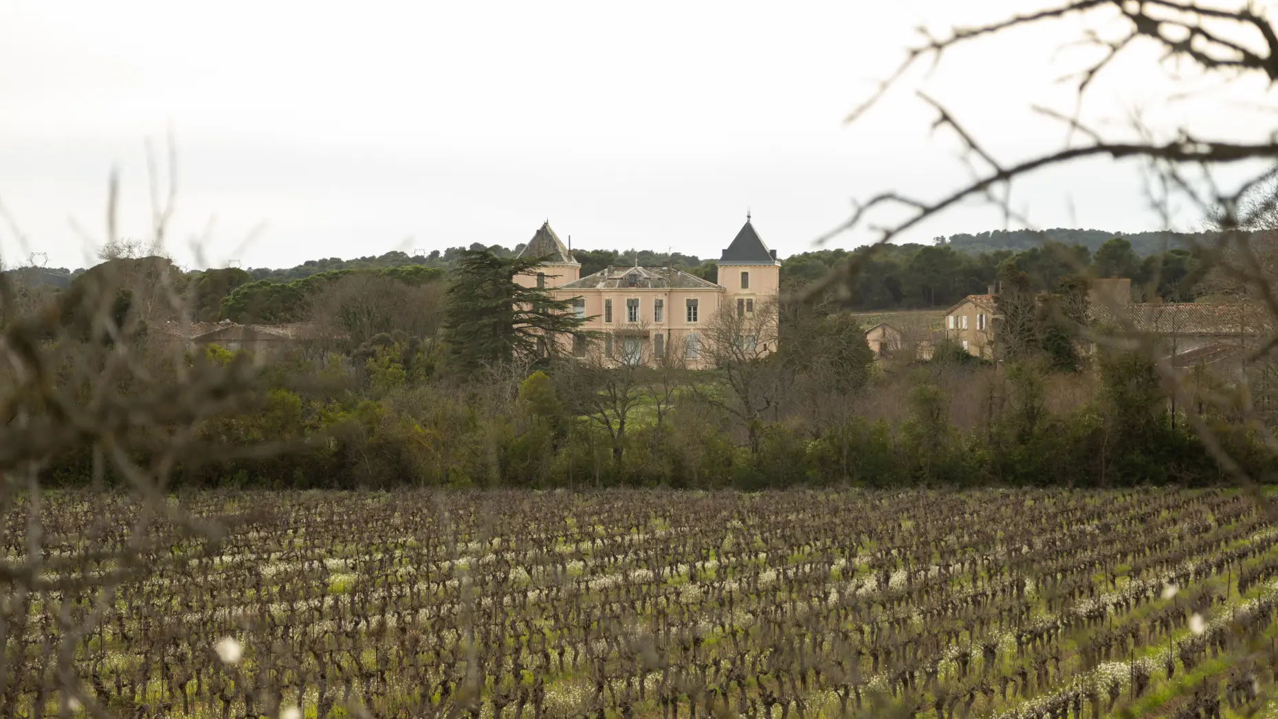 Chateau Bonhomme