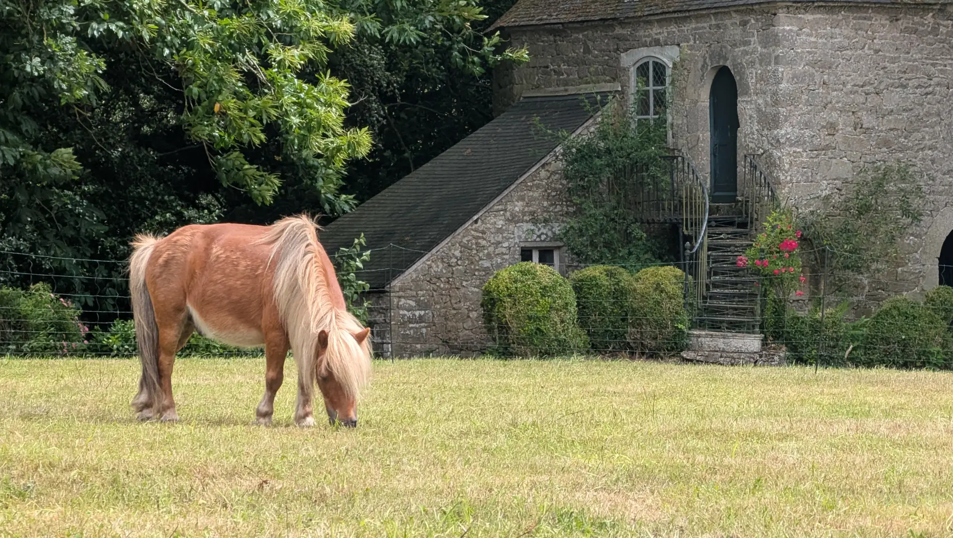 Le château et son étang #9
