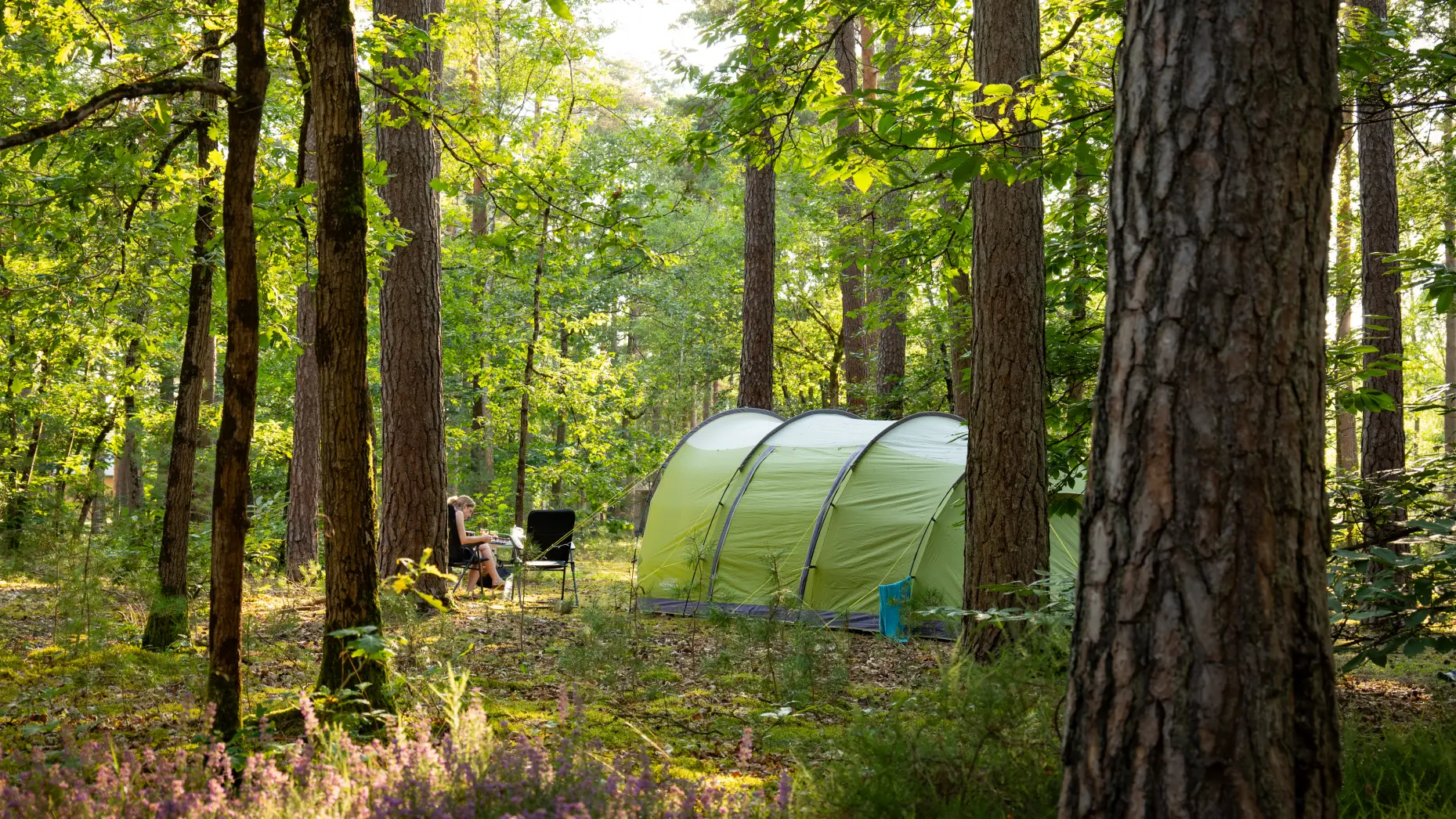 Camping Les Pins