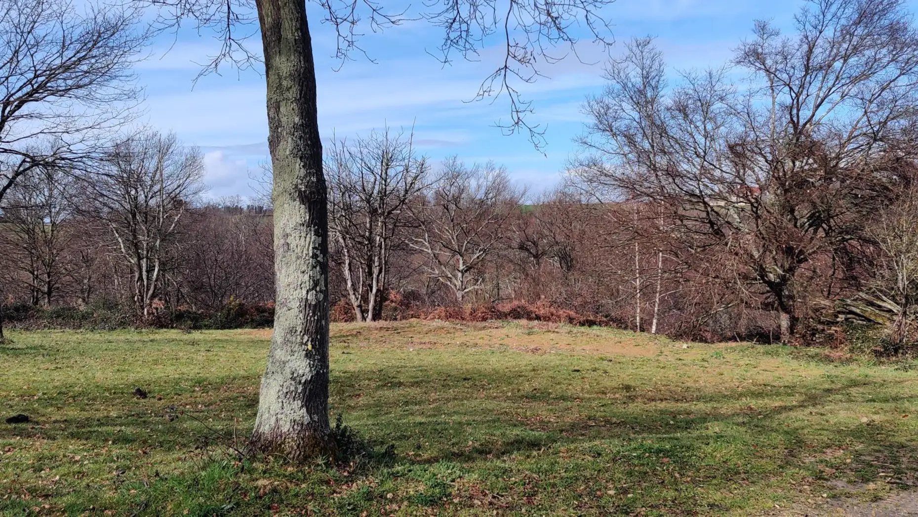 Au coeur rural des Pyrénées Atlantique #5