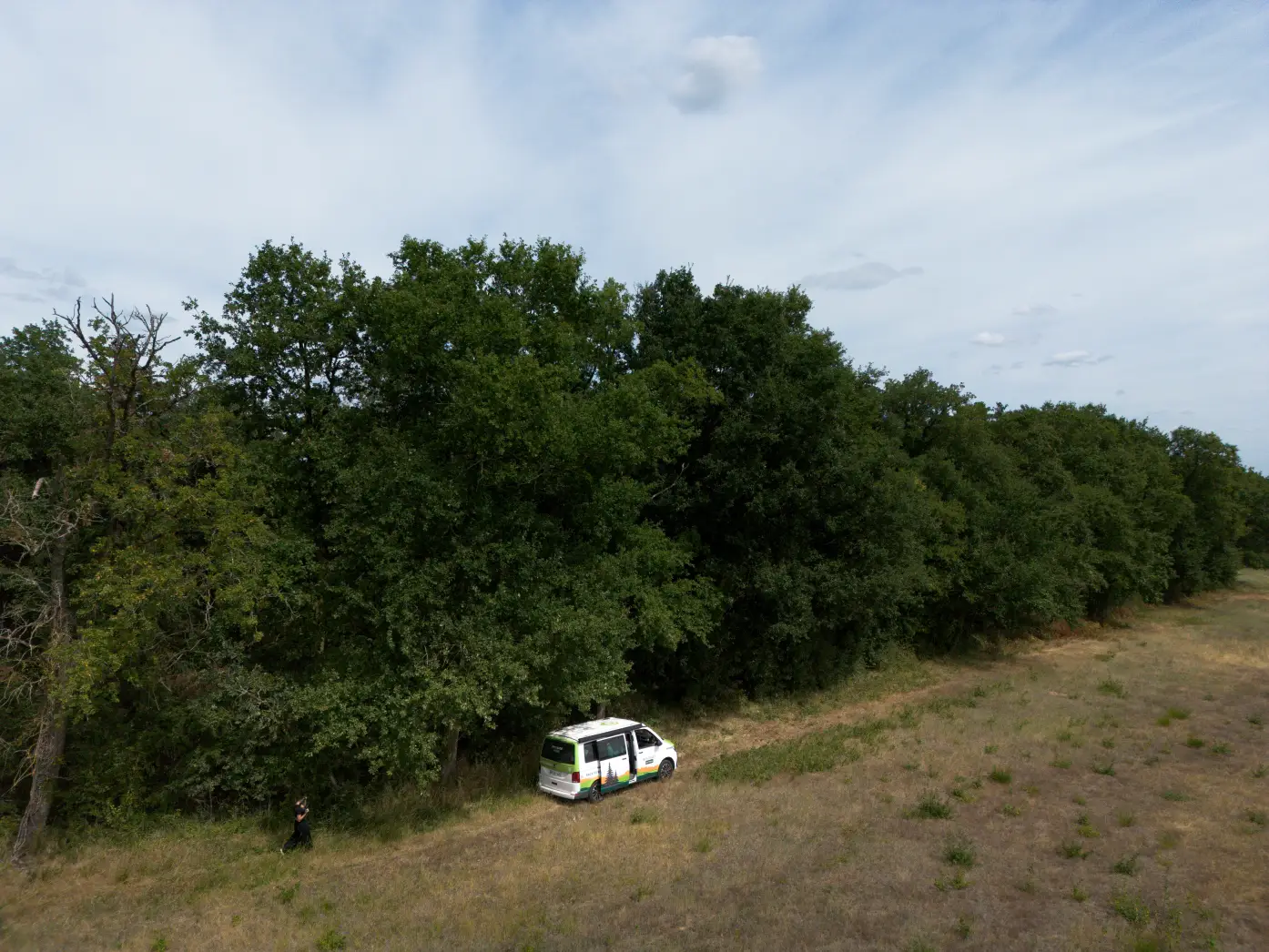 Domaine de bois Mozé