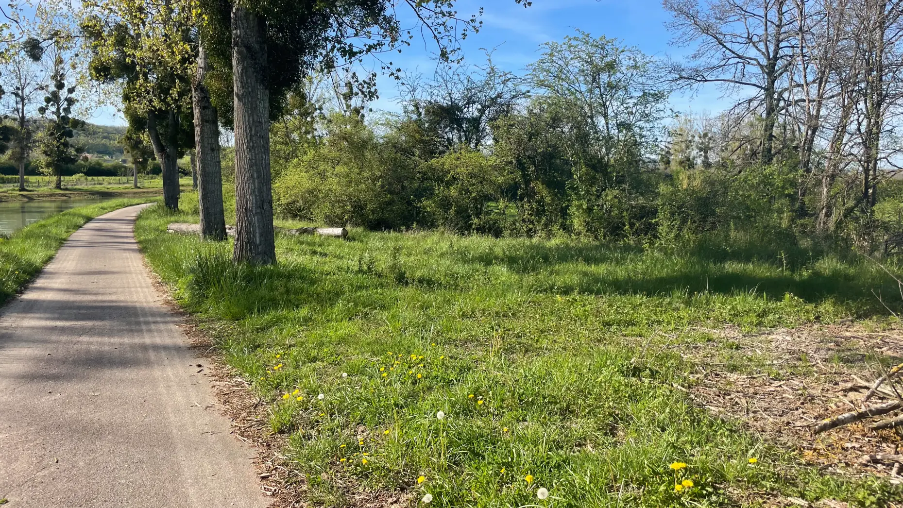 Ăcluse de Marigny 1 #4