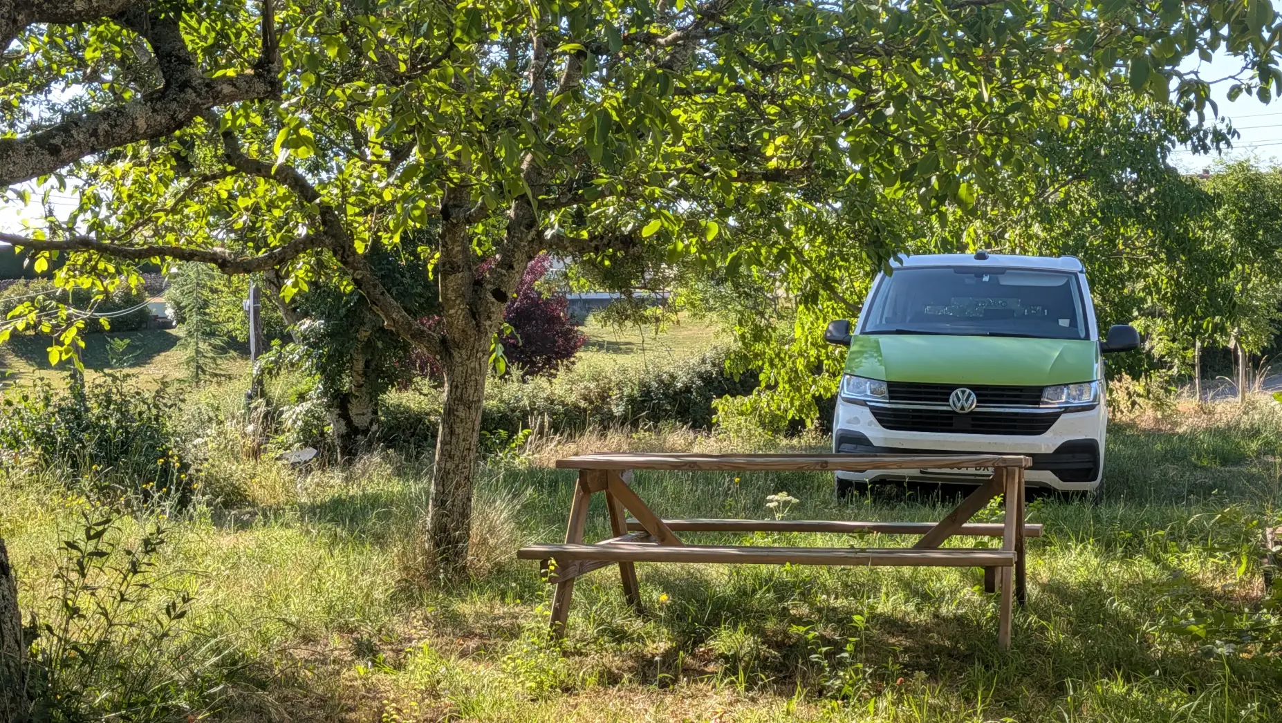 Un clou dans la vigne